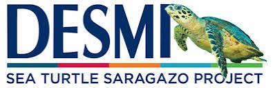 Desmi Sargasso Project